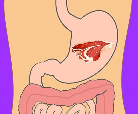 optimal food culture for-continuous health,زمان هزم گوشت گاو